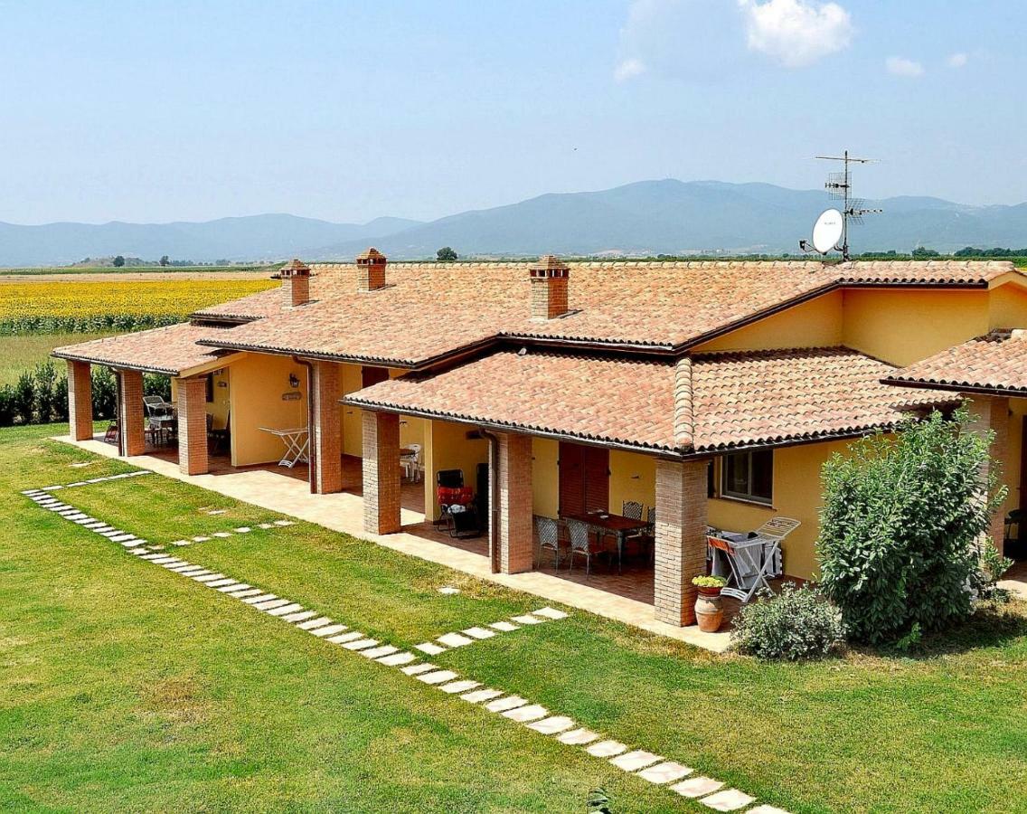 Aliseo Villa มารีนาดีกรอซเซโต ภายนอก รูปภาพ